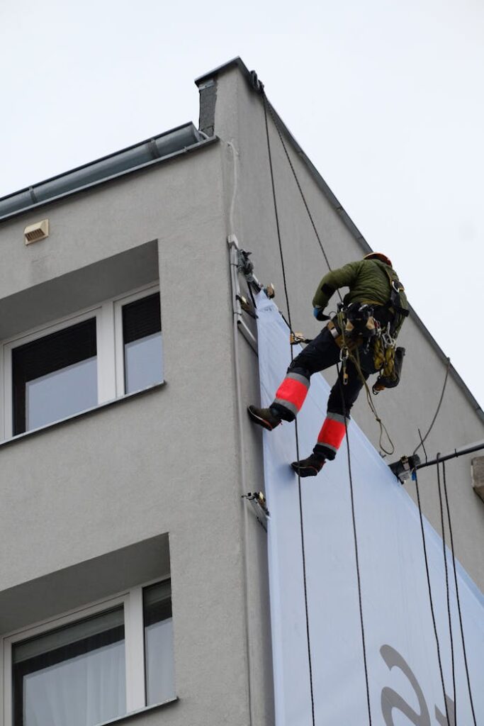 pexels photo 35545309.jpeg